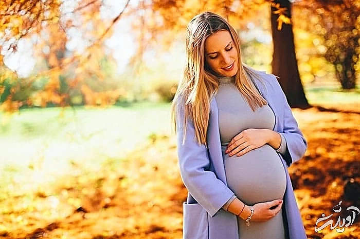 ویتامین پودر سنجد خاصیت پودر سنجد